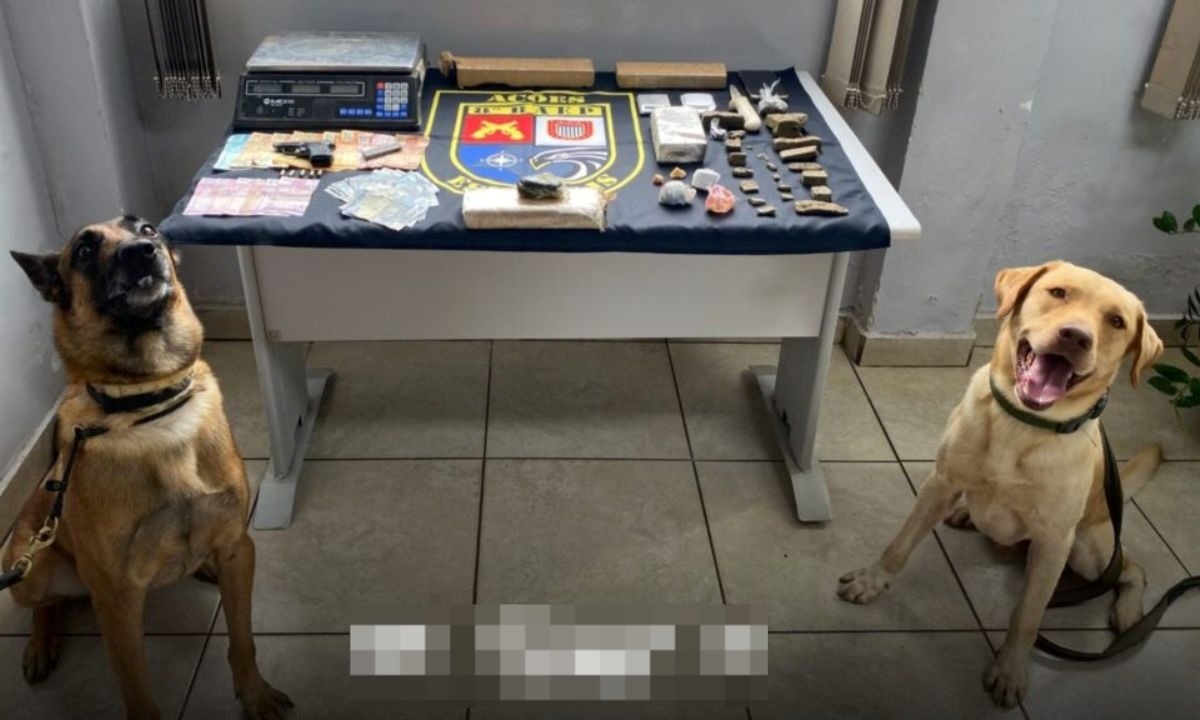 FOTO: Divulgação Diário do Grande ABC - Notícias e informações do Grande ABC: Santo André, São Bernardo, São Caetano, Diadema, Mauá, Ribeirão Pires e Rio Grande da Serra