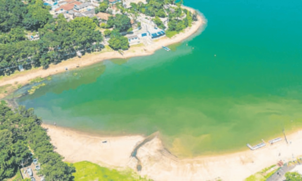 FOTO: Marcel Uyeta/PMSBC Diário do Grande ABC - Notícias e informações do Grande ABC: Santo André, São Bernardo, São Caetano, Diadema, Mauá, Ribeirão Pires e Rio Grande da Serra