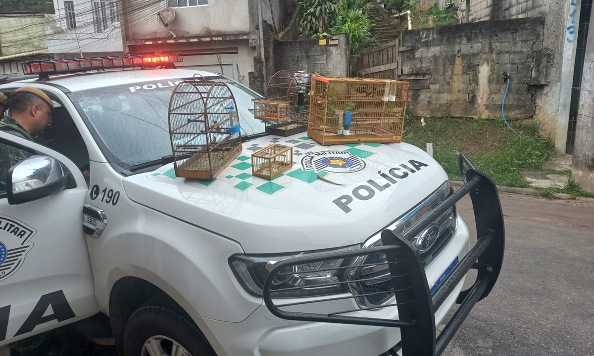 FOTO: Divulgação Diário do Grande ABC - Notícias e informações do Grande ABC: Santo André, São Bernardo, São Caetano, Diadema, Mauá, Ribeirão Pires e Rio Grande da Serra