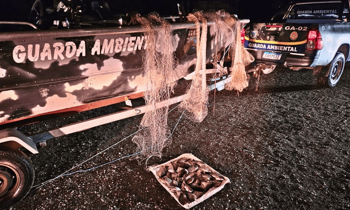 FOTO: Divulgação/PMSBC Diário do Grande ABC - Notícias e informações do Grande ABC: Santo André, São Bernardo, São Caetano, Diadema, Mauá, Ribeirão Pires e Rio Grande da Serra