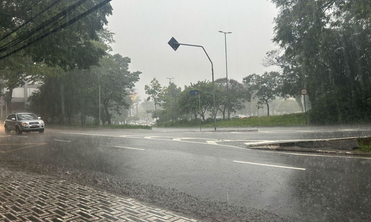 FOTO: Natasha Werneck | DGABC Diário do Grande ABC - Notícias e informações do Grande ABC: Santo André, São Bernardo, São Caetano, Diadema, Mauá, Ribeirão Pires e Rio Grande da Serra