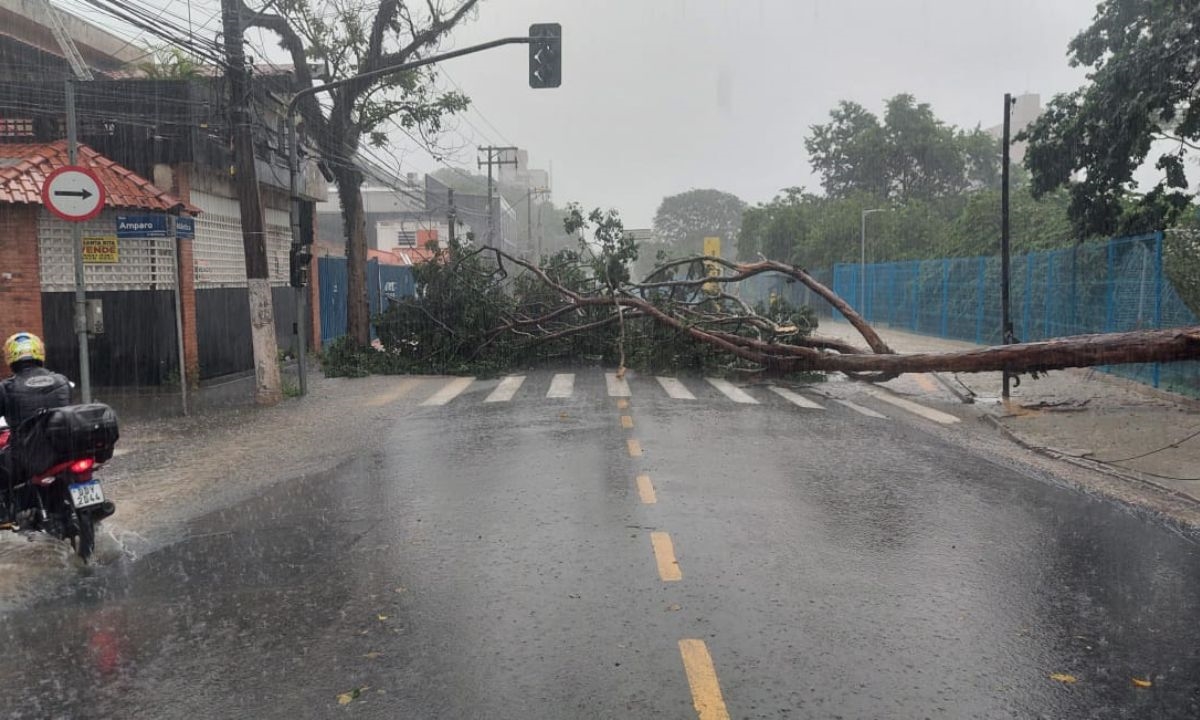 FOTO: Claudinei Plaza/DGABC Diário do Grande ABC - Notícias e informações do Grande ABC: Santo André, São Bernardo, São Caetano, Diadema, Mauá, Ribeirão Pires e Rio Grande da Serra