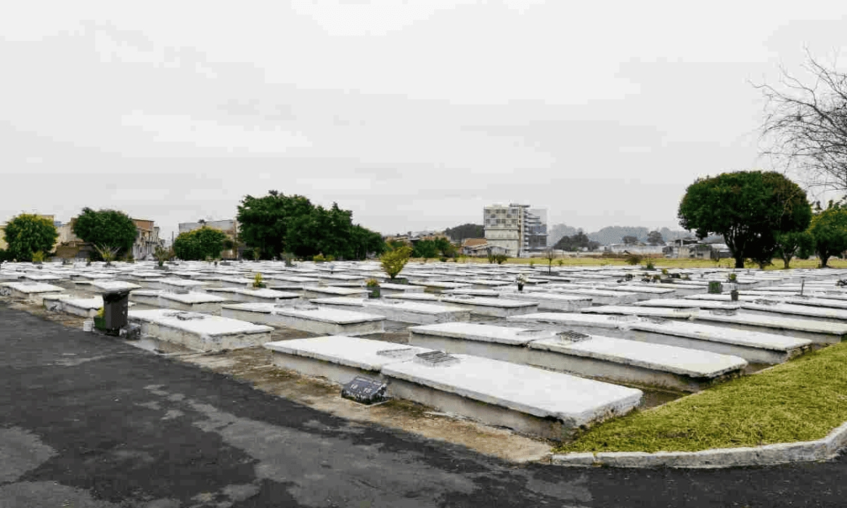FOTO: Divulgação/PMSBC Diário do Grande ABC - Notícias e informações do Grande ABC: Santo André, São Bernardo, São Caetano, Diadema, Mauá, Ribeirão Pires e Rio Grande da Serra