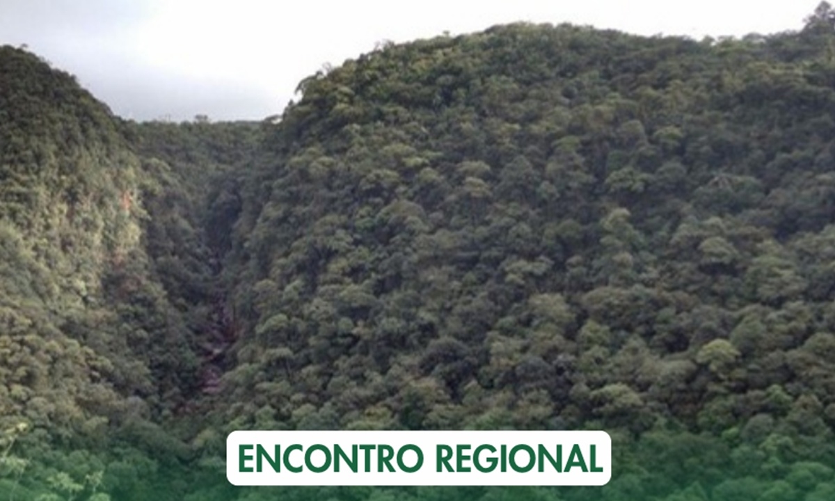 FOTO: Divulgação Diário do Grande ABC - Notícias e informações do Grande ABC: Santo André, São Bernardo, São Caetano, Diadema, Mauá, Ribeirão Pires e Rio Grande da Serra