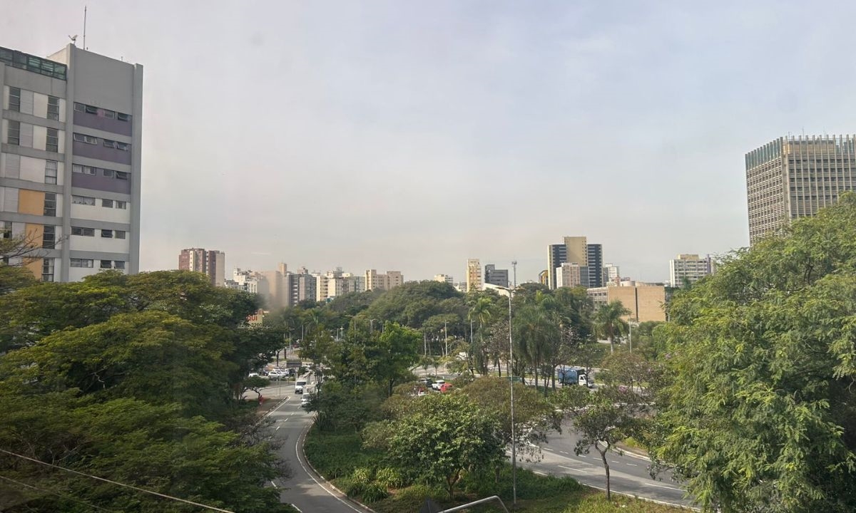 FOTO: Natasha Werneck | DGABC Diário do Grande ABC - Notícias e informações do Grande ABC: Santo André, São Bernardo, São Caetano, Diadema, Mauá, Ribeirão Pires e Rio Grande da Serra