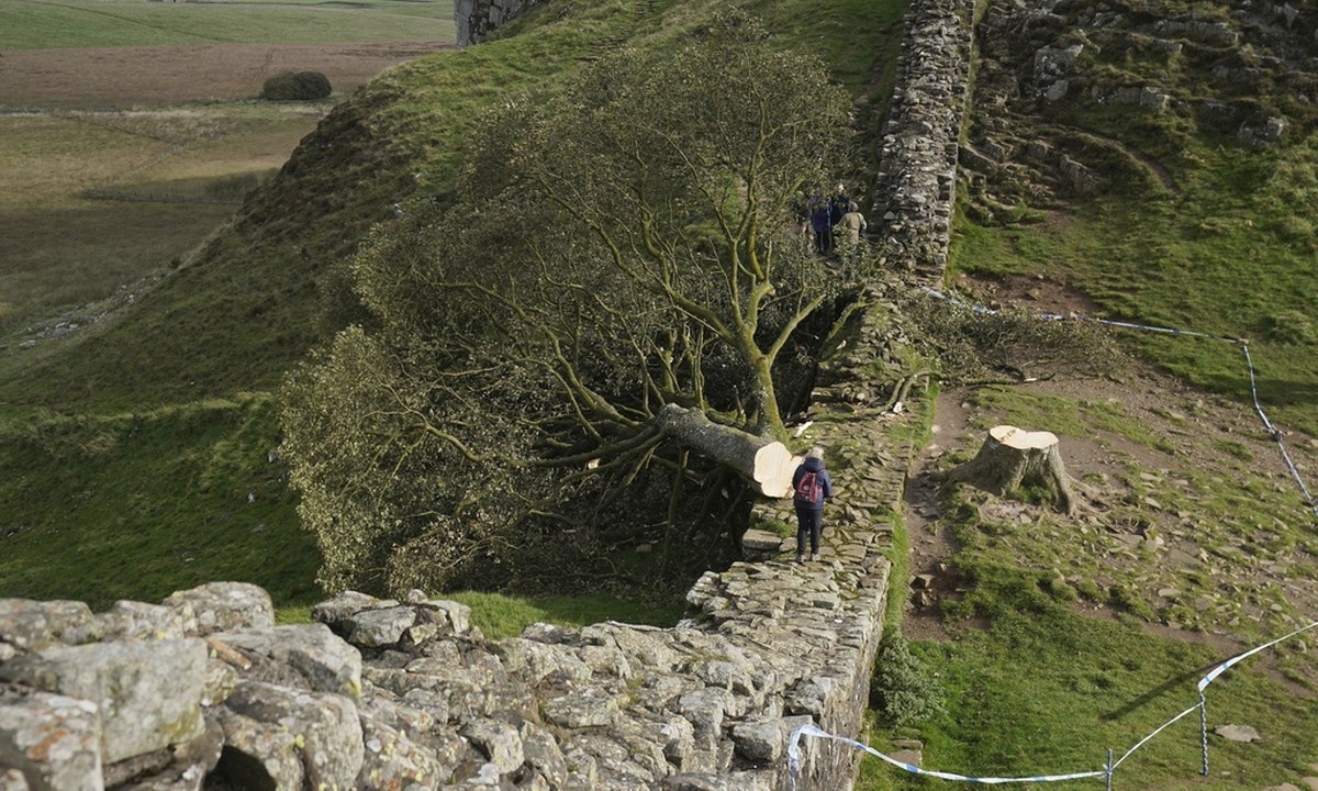 FOTO: Reprodução Diário do Grande ABC - Notícias e informações do Grande ABC: Santo André, São Bernardo, São Caetano, Diadema, Mauá, Ribeirão Pires e Rio Grande da Serra