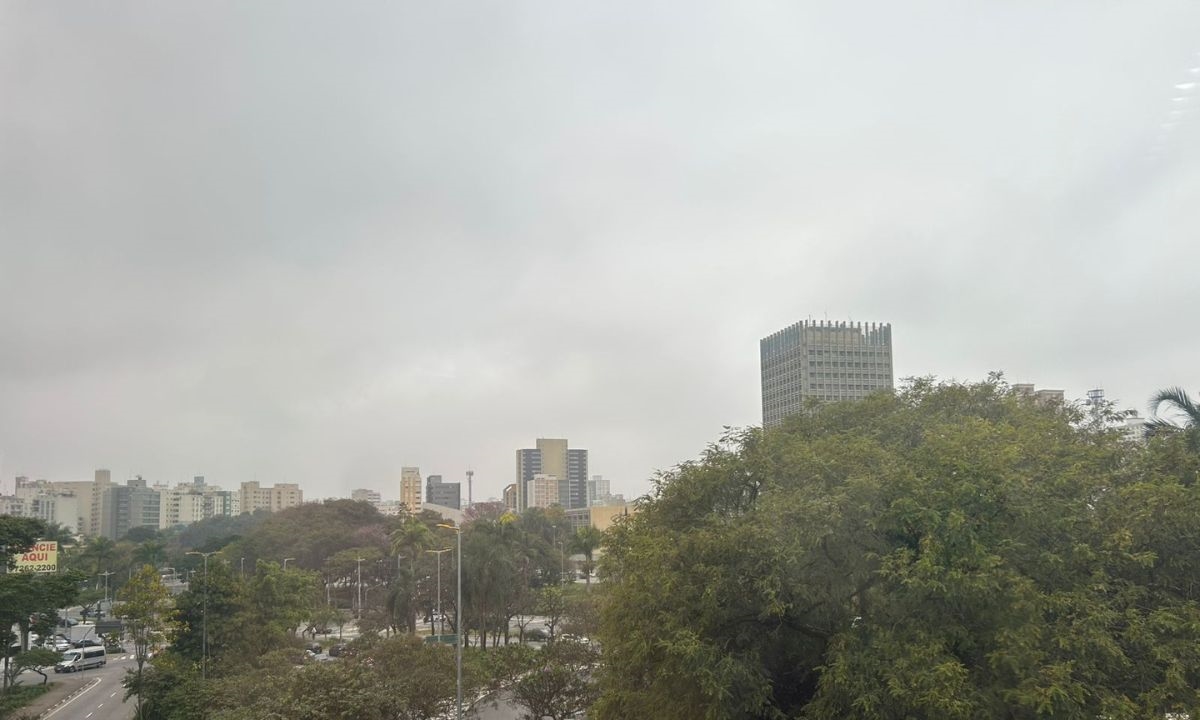 FOTO: Natasha Werneck | DGABC Diário do Grande ABC - Notícias e informações do Grande ABC: Santo André, São Bernardo, São Caetano, Diadema, Mauá, Ribeirão Pires e Rio Grande da Serra