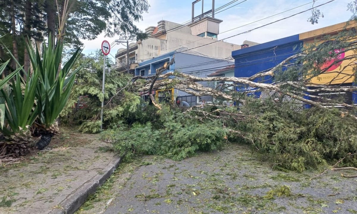 FOTO: Yuri Kumano | DGABC Diário do Grande ABC - Notícias e informações do Grande ABC: Santo André, São Bernardo, São Caetano, Diadema, Mauá, Ribeirão Pires e Rio Grande da Serra