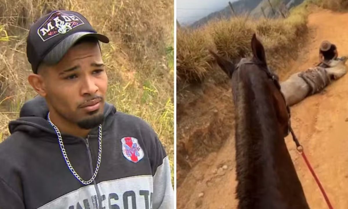 FOTO: Reprodução/Tv Vanguarda Diário do Grande ABC - Notícias e informações do Grande ABC: Santo André, São Bernardo, São Caetano, Diadema, Mauá, Ribeirão Pires e Rio Grande da Serra