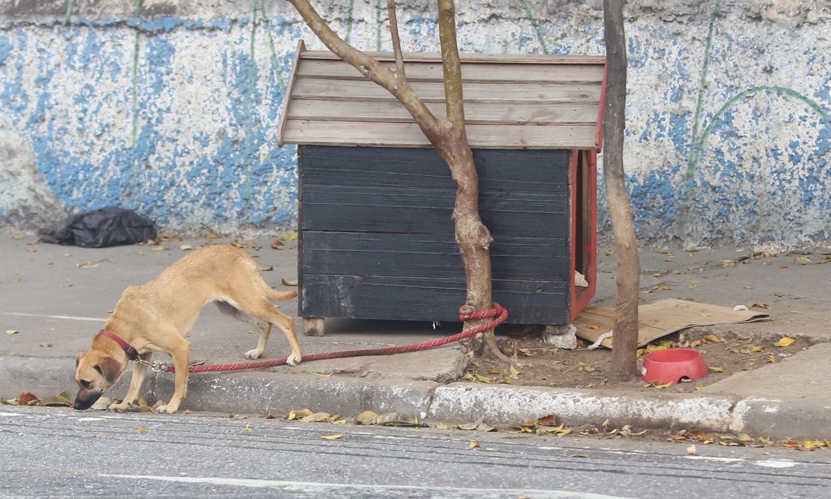 FOTO: Denis Maciel | DGABC Diário do Grande ABC - Notícias e informações do Grande ABC: Santo André, São Bernardo, São Caetano, Diadema, Mauá, Ribeirão Pires e Rio Grande da Serra