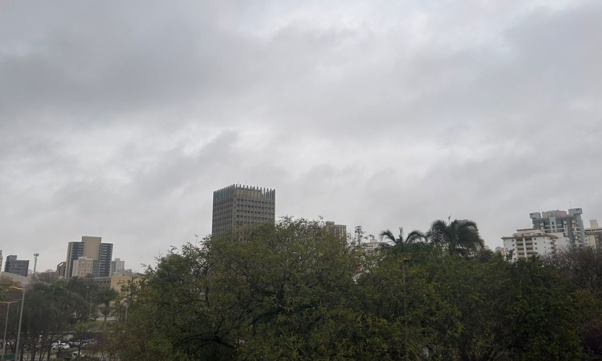 FOTO: Natasha Werneck | DGABC Diário do Grande ABC - Notícias e informações do Grande ABC: Santo André, São Bernardo, São Caetano, Diadema, Mauá, Ribeirão Pires e Rio Grande da Serra