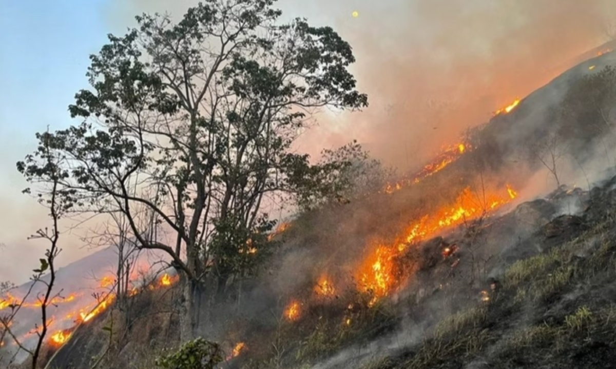 FOTO: Divulgação Diário do Grande ABC - Notícias e informações do Grande ABC: Santo André, São Bernardo, São Caetano, Diadema, Mauá, Ribeirão Pires e Rio Grande da Serra