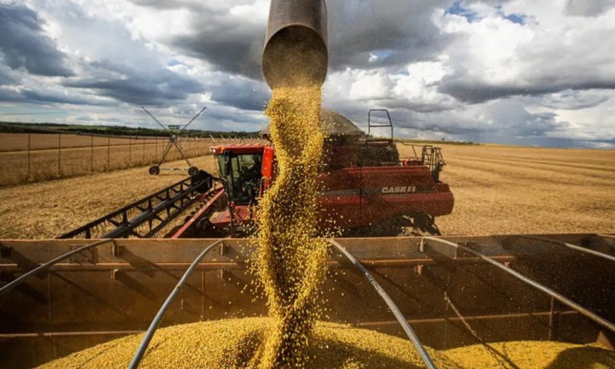 FOTO: Agência Brasil Diário do Grande ABC - Notícias e informações do Grande ABC: Santo André, São Bernardo, São Caetano, Diadema, Mauá, Ribeirão Pires e Rio Grande da Serra