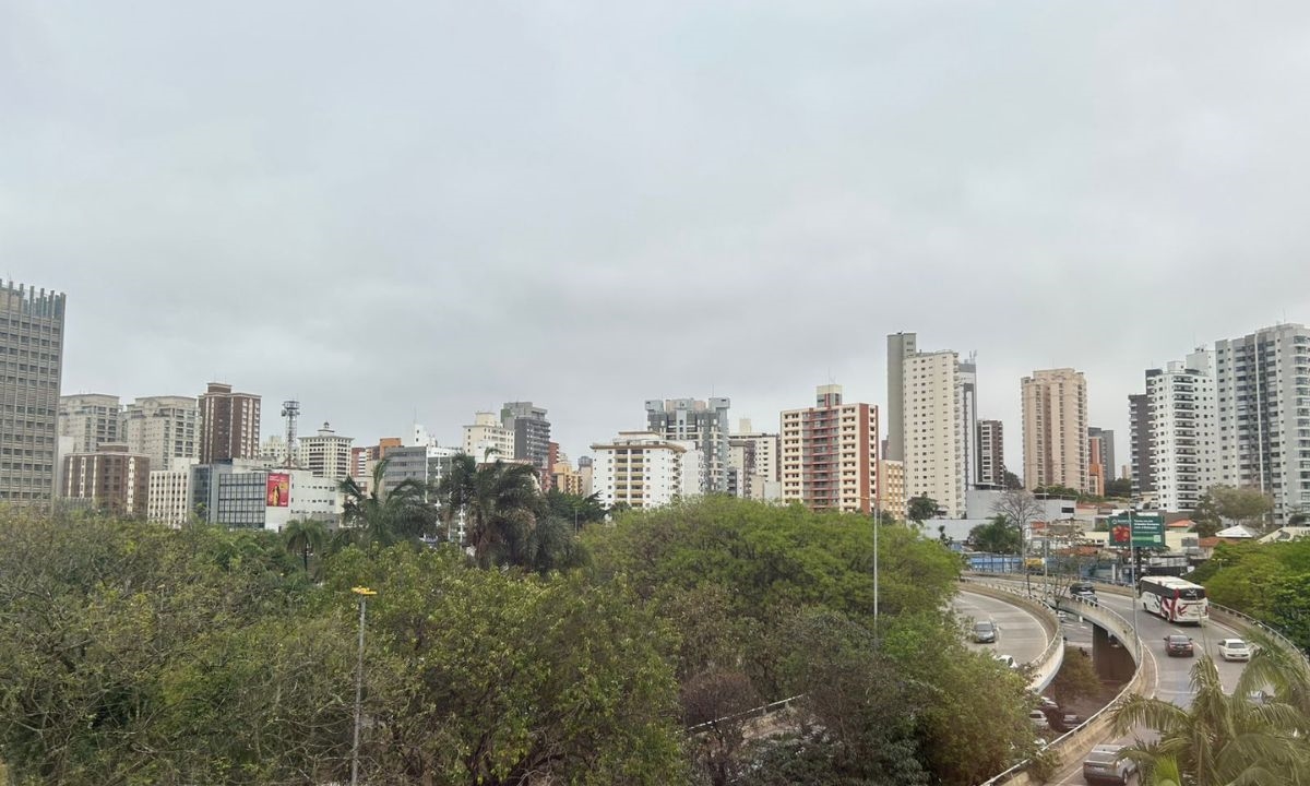 FOTO: Natasha Werneck | DGABC Diário do Grande ABC - Notícias e informações do Grande ABC: Santo André, São Bernardo, São Caetano, Diadema, Mauá, Ribeirão Pires e Rio Grande da Serra