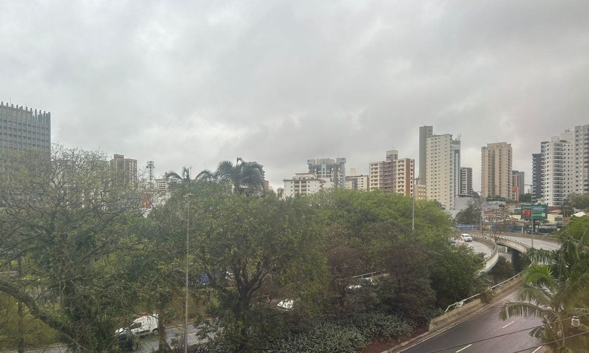FOTO: Natasha Werneck | DGABC Diário do Grande ABC - Notícias e informações do Grande ABC: Santo André, São Bernardo, São Caetano, Diadema, Mauá, Ribeirão Pires e Rio Grande da Serra