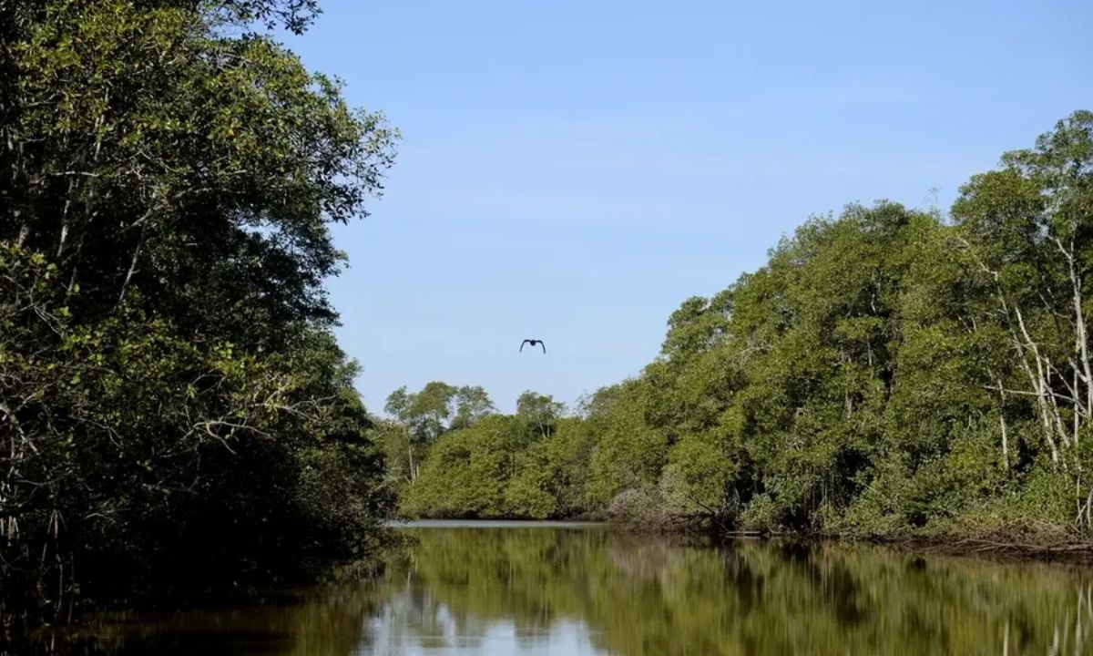FOTO: Reprodução/Agência Brasil Diário do Grande ABC - Notícias e informações do Grande ABC: Santo André, São Bernardo, São Caetano, Diadema, Mauá, Ribeirão Pires e Rio Grande da Serra
