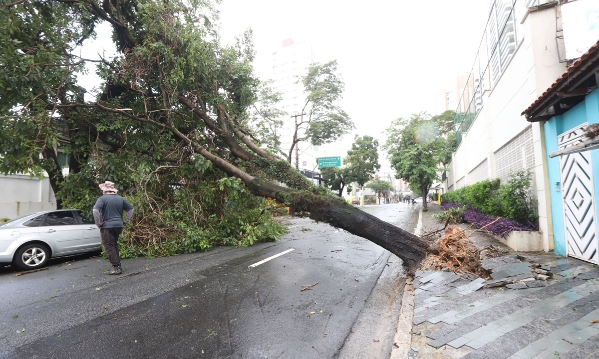 Ventania já causou estragos na região neste ano (FOTO: André Henriques/DGABC) Diário do Grande ABC - Notícias e informações do Grande ABC: Santo André, São Bernardo, São Caetano, Diadema, Mauá, Ribeirão Pires e Rio Grande da Serra