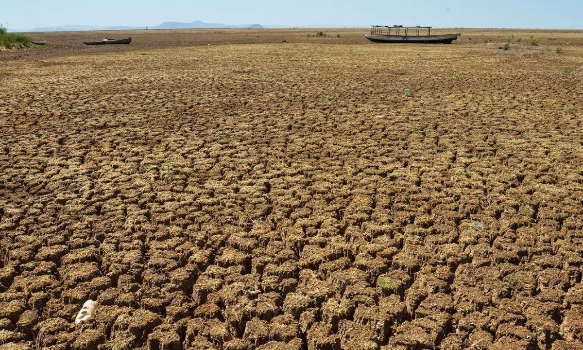 FOTO: Agência Brasil Diário do Grande ABC - Notícias e informações do Grande ABC: Santo André, São Bernardo, São Caetano, Diadema, Mauá, Ribeirão Pires e Rio Grande da Serra