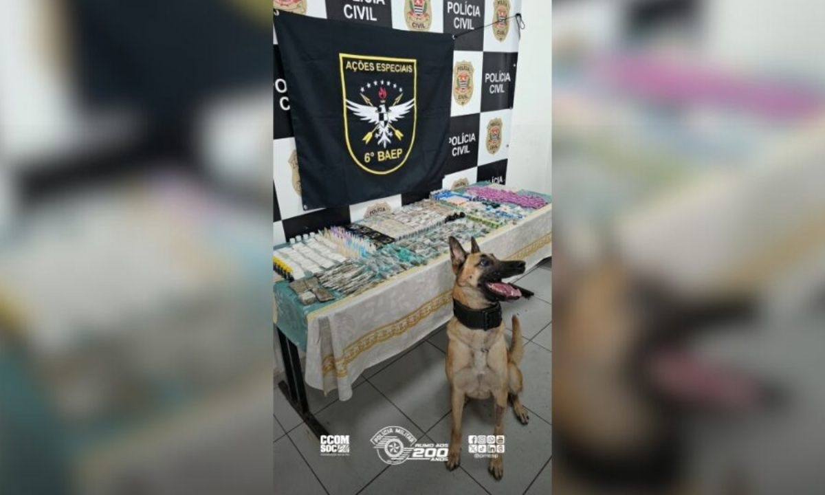 FOTO: Divulgação/PMESP Diário do Grande ABC - Notícias e informações do Grande ABC: Santo André, São Bernardo, São Caetano, Diadema, Mauá, Ribeirão Pires e Rio Grande da Serra