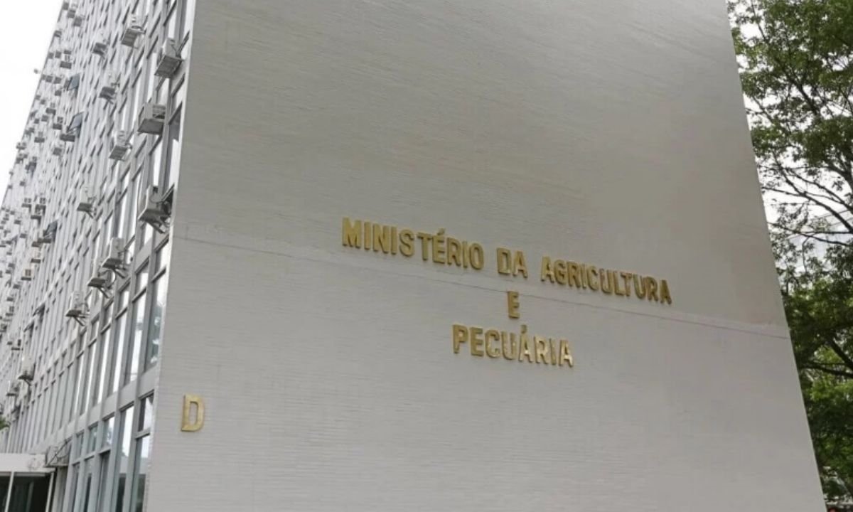 FOTO: Divulgação Diário do Grande ABC - Notícias e informações do Grande ABC: Santo André, São Bernardo, São Caetano, Diadema, Mauá, Ribeirão Pires e Rio Grande da Serra