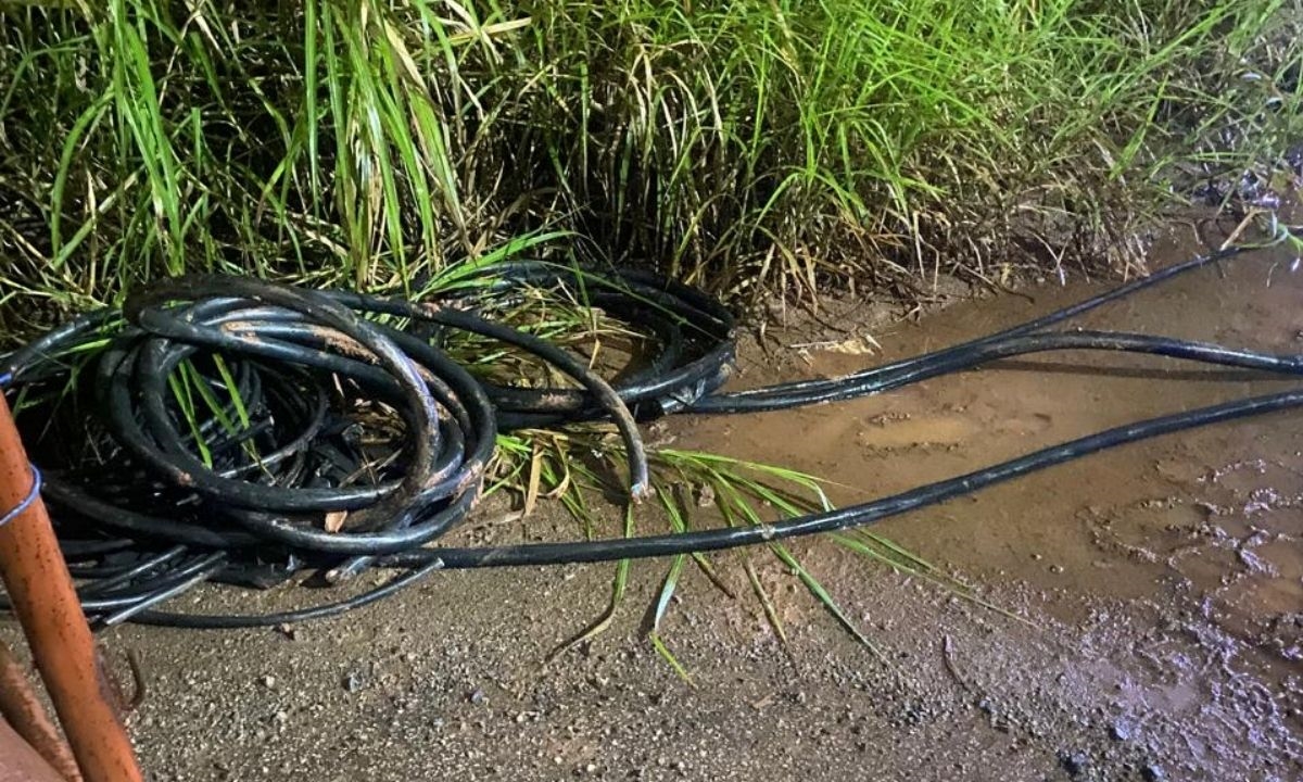 FOTO: Divulgação Diário do Grande ABC - Notícias e informações do Grande ABC: Santo André, São Bernardo, São Caetano, Diadema, Mauá, Ribeirão Pires e Rio Grande da Serra