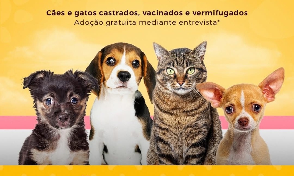 FOTO: Divulgação Diário do Grande ABC - Notícias e informações do Grande ABC: Santo André, São Bernardo, São Caetano, Diadema, Mauá, Ribeirão Pires e Rio Grande da Serra