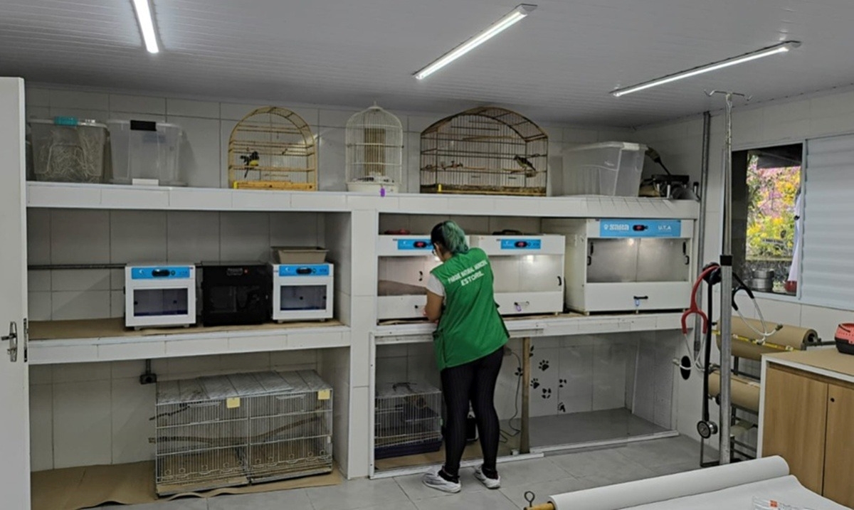 Divulgação/PMSBC Diário do Grande ABC - Notícias e informações do Grande ABC: Santo André, São Bernardo, São Caetano, Diadema, Mauá, Ribeirão Pires e Rio Grande da Serra