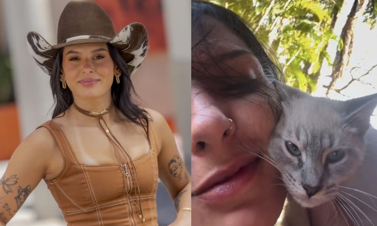 FOTO: Reprodução Diário do Grande ABC - Notícias e informações do Grande ABC: Santo André, São Bernardo, São Caetano, Diadema, Mauá, Ribeirão Pires e Rio Grande da Serra
