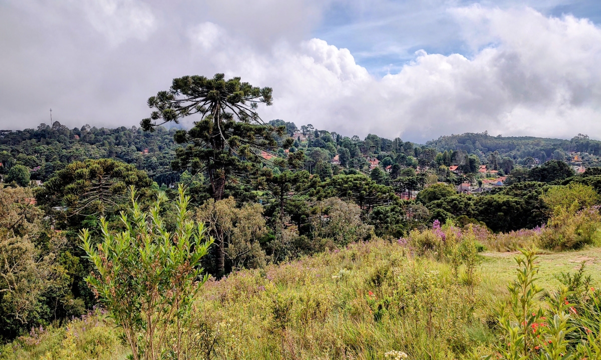 Sistema Nacional de Trilhas fortalecerá ecoturismo no Brasil