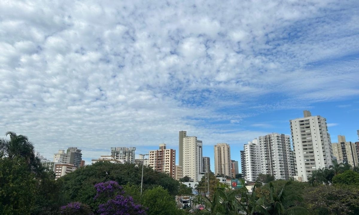 FOTO: Natasha Werneck | DGABC Diário do Grande ABC - Notícias e informações do Grande ABC: Santo André, São Bernardo, São Caetano, Diadema, Mauá, Ribeirão Pires e Rio Grande da Serra