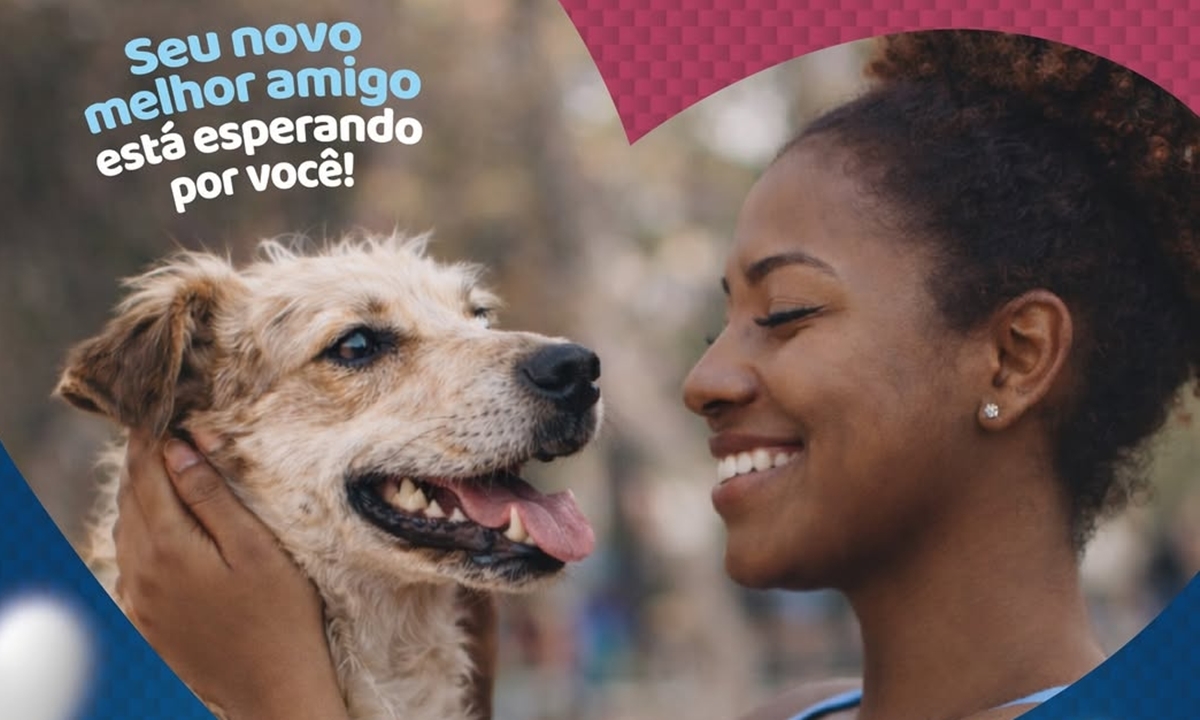 FOTO: Reprodução Diário do Grande ABC - Notícias e informações do Grande ABC: Santo André, São Bernardo, São Caetano, Diadema, Mauá, Ribeirão Pires e Rio Grande da Serra