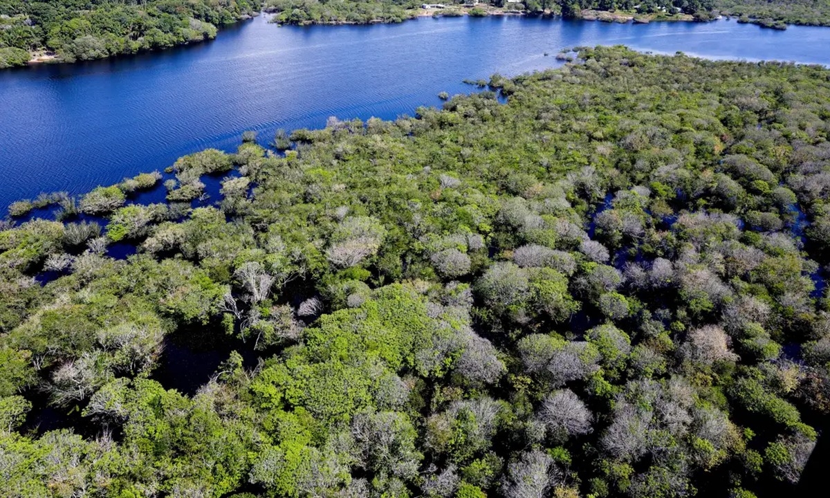FOTO: Agência Brasil Diário do Grande ABC - Notícias e informações do Grande ABC: Santo André, São Bernardo, São Caetano, Diadema, Mauá, Ribeirão Pires e Rio Grande da Serra