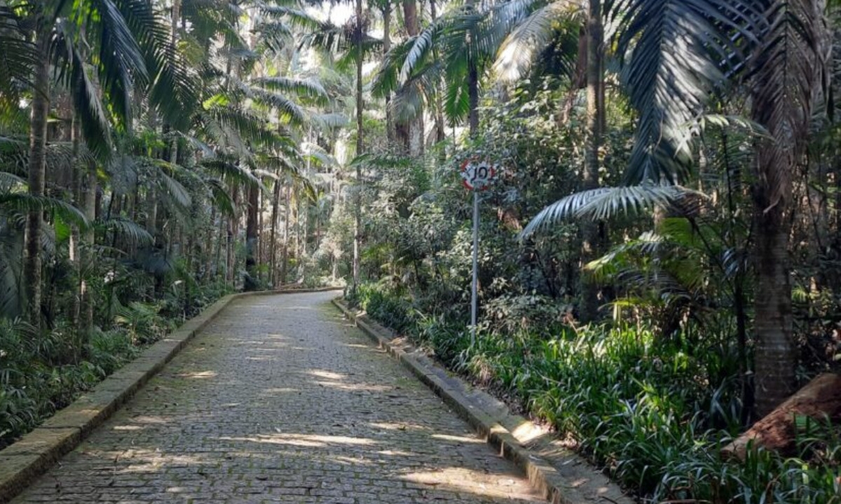 Vagner Aquino Diário do Grande ABC - Notícias e informações do Grande ABC: Santo André, São Bernardo, São Caetano, Diadema, Mauá, Ribeirão Pires e Rio Grande da Serra