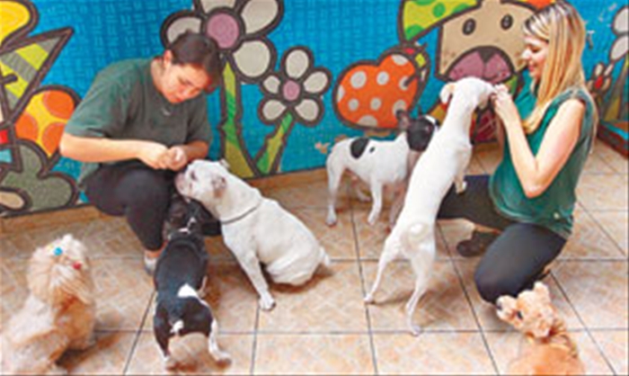 Orlando Filho/DGABC Diário do Grande ABC - Notícias e informações do Grande ABC: Santo André, São Bernardo, São Caetano, Diadema, Mauá, Ribeirão Pires e Rio Grande da Serra