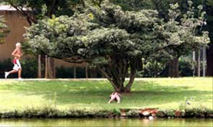  Diário do Grande ABC - Notícias e informações do Grande ABC: Santo André, São Bernardo, São Caetano, Diadema, Mauá, Ribeirão Pires e Rio Grande da Serra