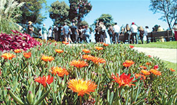 Claudinei Plaza/DGABC Diário do Grande ABC - Notícias e informações do Grande ABC: Santo André, São Bernardo, São Caetano, Diadema, Mauá, Ribeirão Pires e Rio Grande da Serra